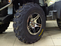Фото: Квадроцикл SYM QuadRaider 400, 3928837070430046439