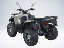 Фото: Квадроцикл SYM QuadRaider 400, Диаметр колеса 12 ″