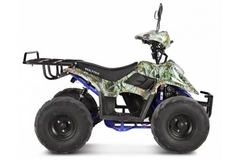 Электроквадроцикл Universal HORNET 36V800W (CS-E7015-1)