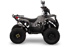 Квадроцикл Universal ATV 125 TM Classic