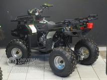 Фото: Квадроцикл Wels 125 LADOGA, 2763203151211897713