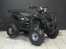 Фото: Квадроцикл Wels 125 LADOGA, 27632031512067908042