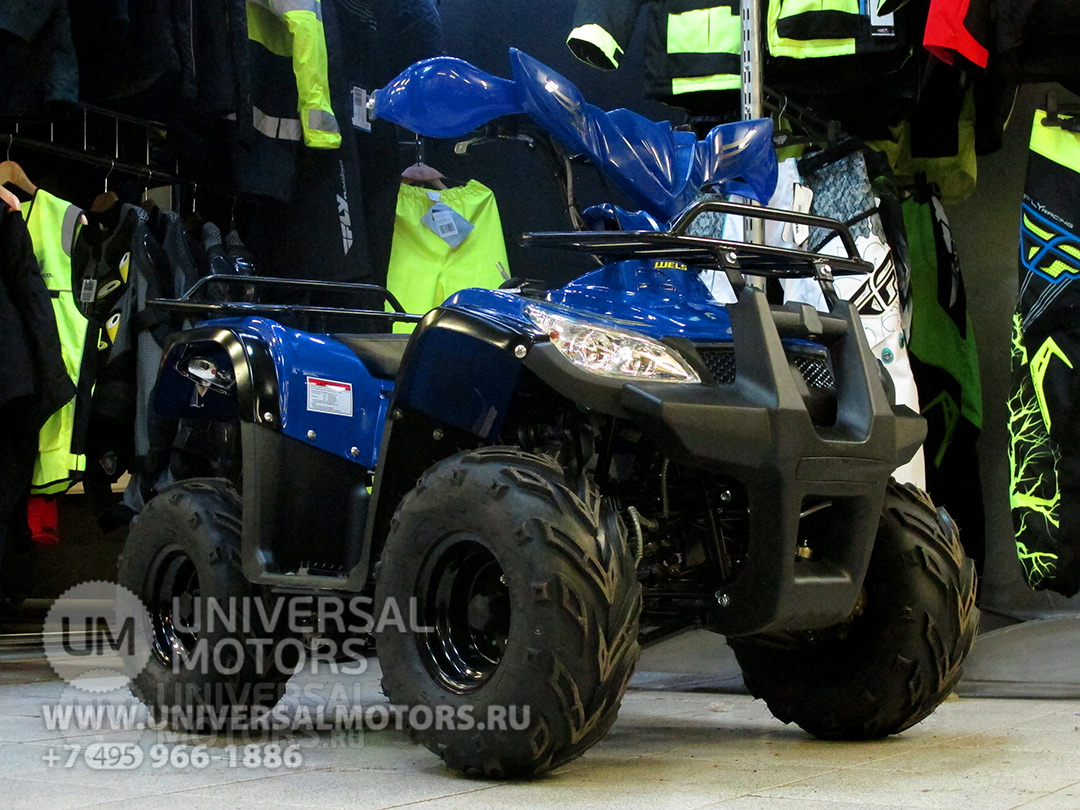 Фото: Квадроцикл Wels HS125, 7126903103433629150