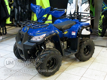 Фото: Квадроцикл Wels HS125, Диаметр колеса 10 ″