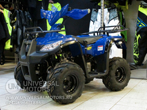 Фото: Квадроцикл Wels HS125, Рабочий объем 125 см³