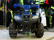 Фото: Квадроцикл Wels HS125, 7126903103681139885