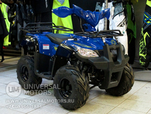 Фото: Квадроцикл Wels HS125, 7126903103148756296