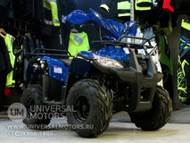 Фото: Квадроцикл Wels HS125, 7126903103433629150