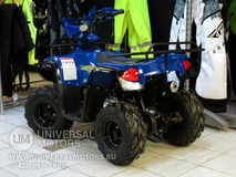Фото: Квадроцикл Wels HS125, 7126903103044392314