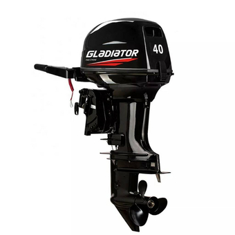 Лодочный мотор Gladiator G40FHS, Шаг винта 13 ″